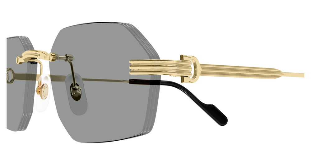 Cartier CT0616S 004 54