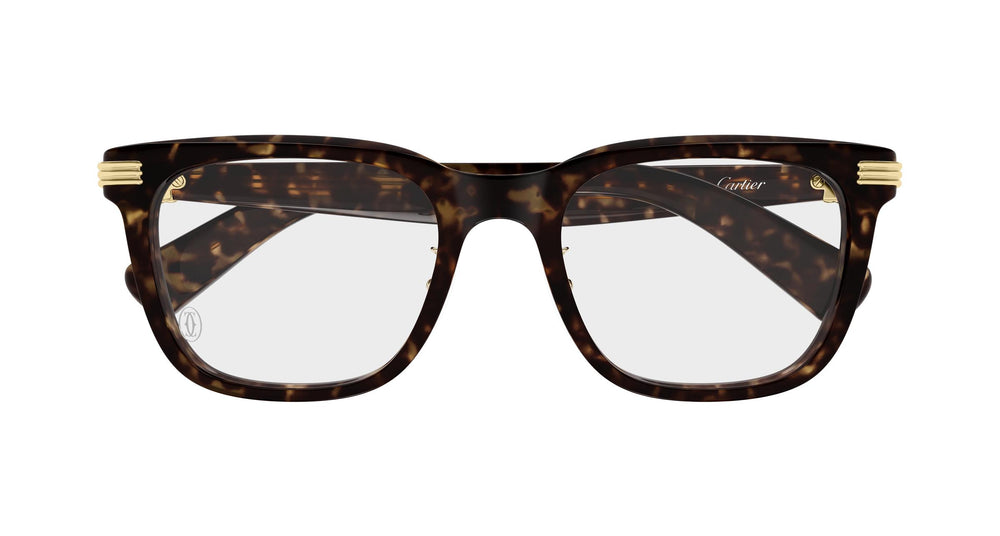 Cartier CT0617OA 002 54