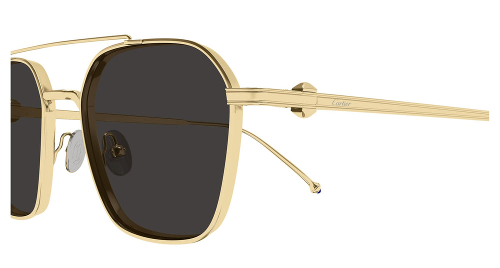 Cartier CT0618S 001 53