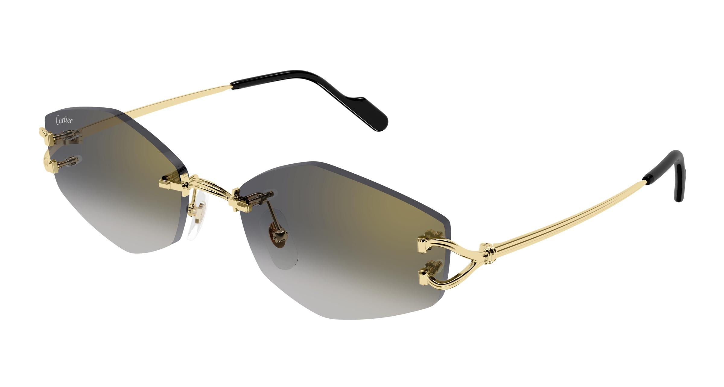 Cartier CT0620S 001 56