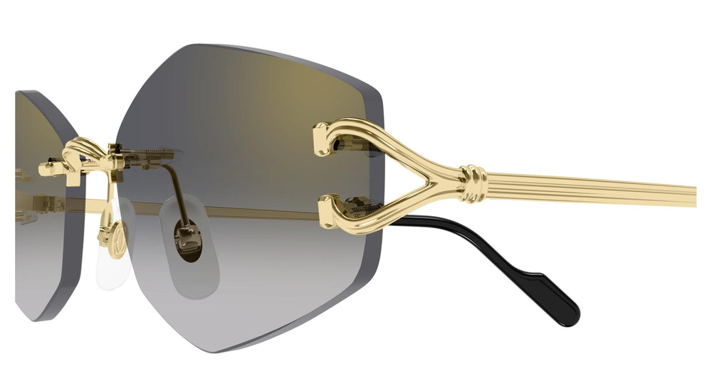 Cartier CT0620S 001 56