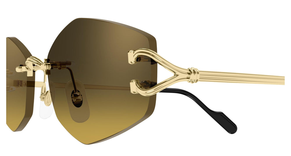 Cartier CT0620S 003 56