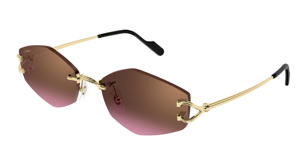 Cartier CT0620S 004 56