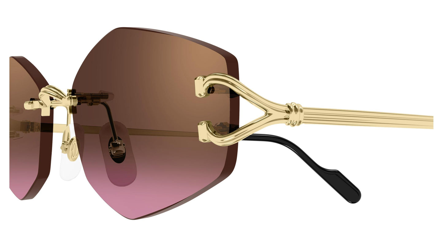 Cartier CT0620S 004 56