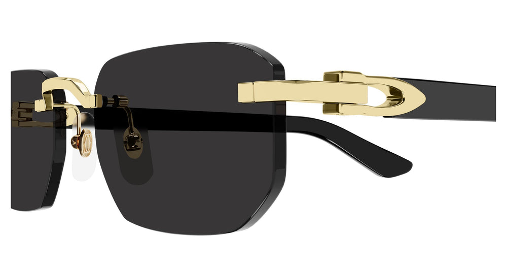 Cartier CT0622S 001 53