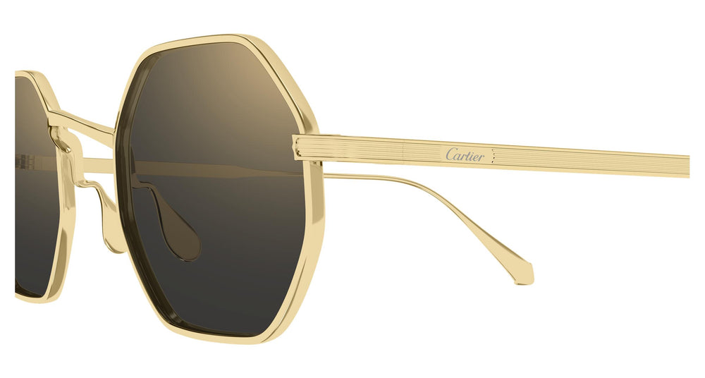 Cartier CT0627S 001 48