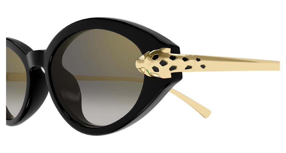 Cartier CT0634S 001 52