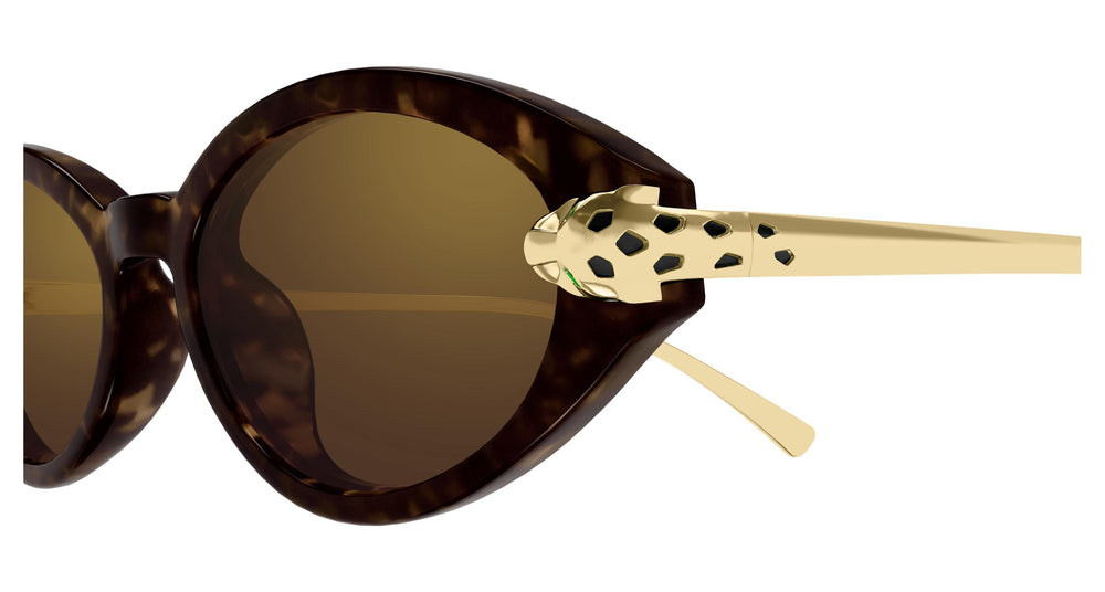 Cartier CT0634S 002 52