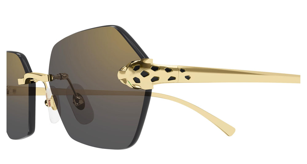 Cartier CT0636S 001 55