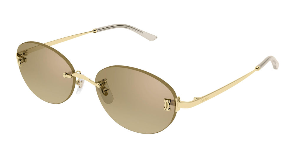 Cartier CT0642SA 002 54