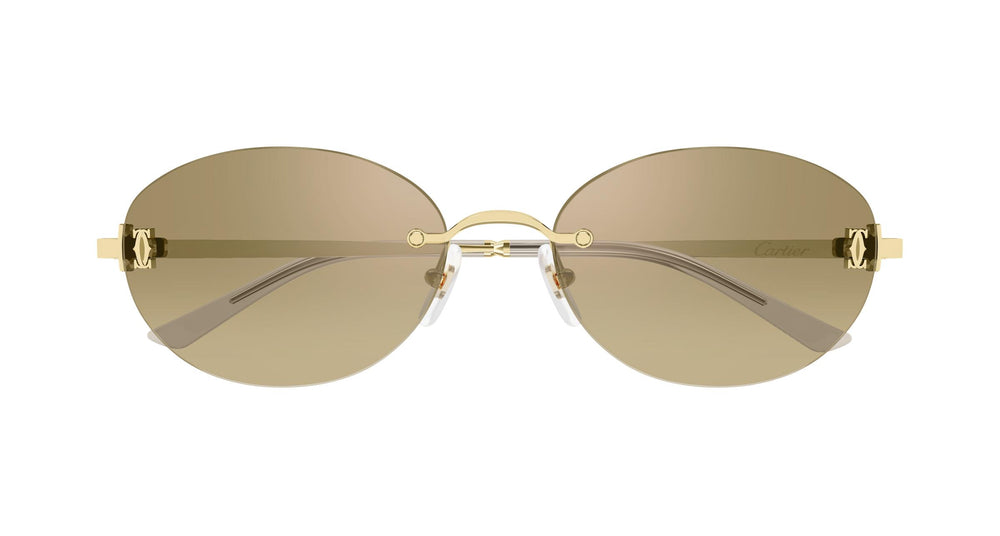 Cartier CT0642SA 002 54