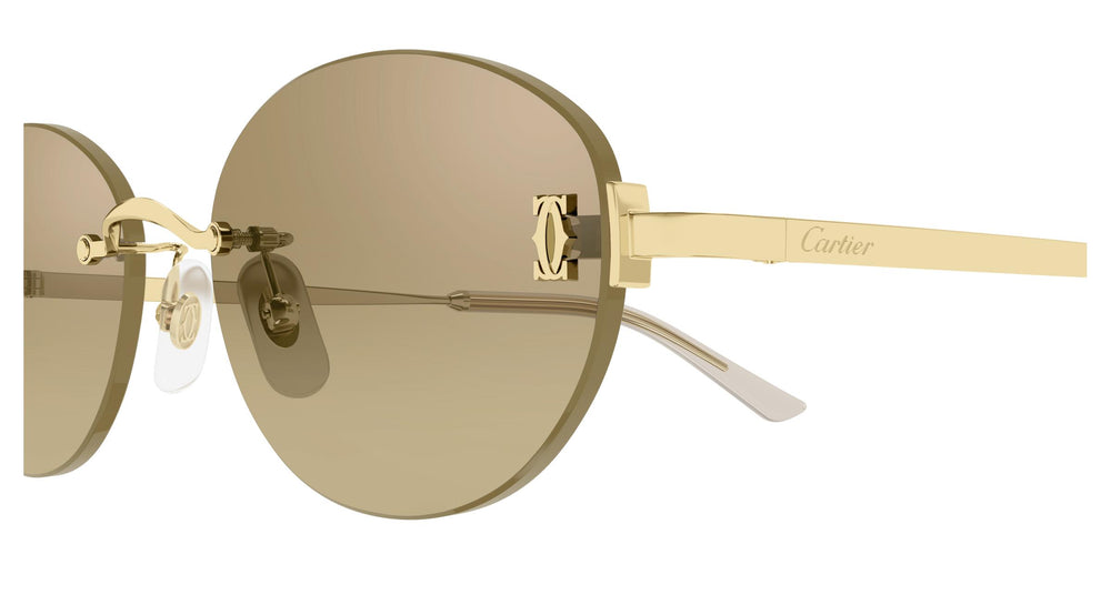 Cartier CT0642SA 002 54