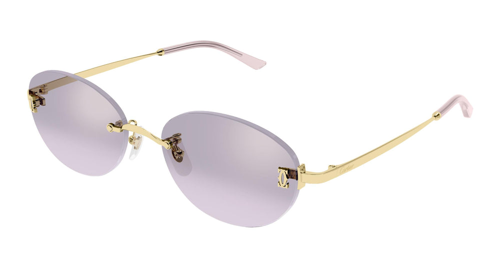 Cartier CT0642SA 003 54
