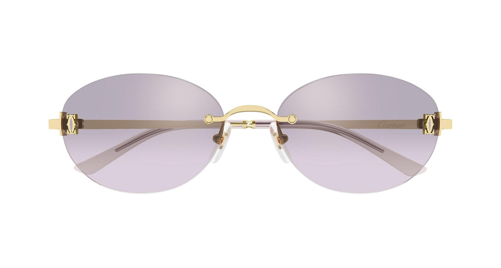 Cartier CT0642SA 003 54