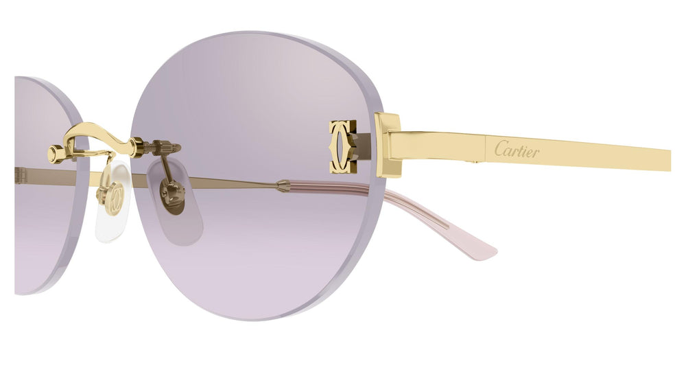 Cartier CT0642SA 003 54