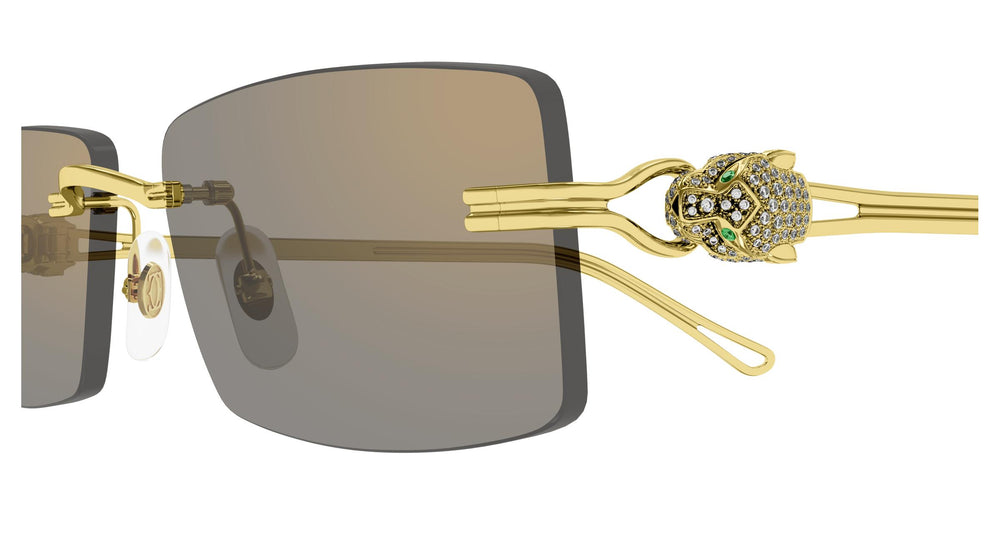 Cartier CT0647S 002 57
