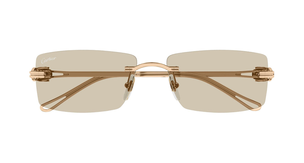 Cartier CT0647S 003 57