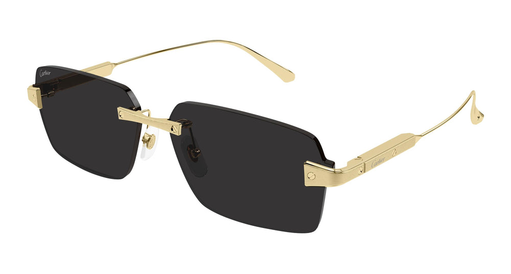 Cartier CT0652S 001 63