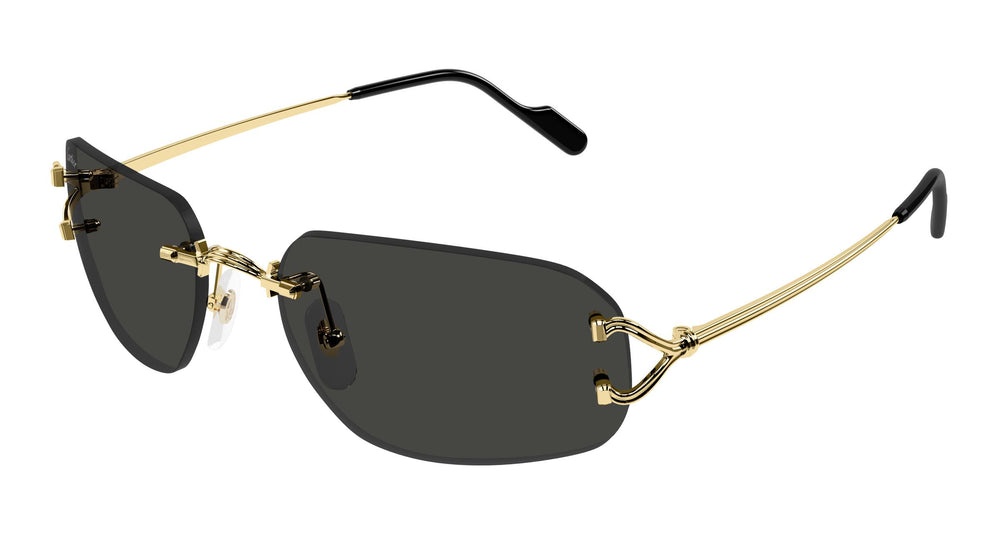 Cartier CT0663S 001 58