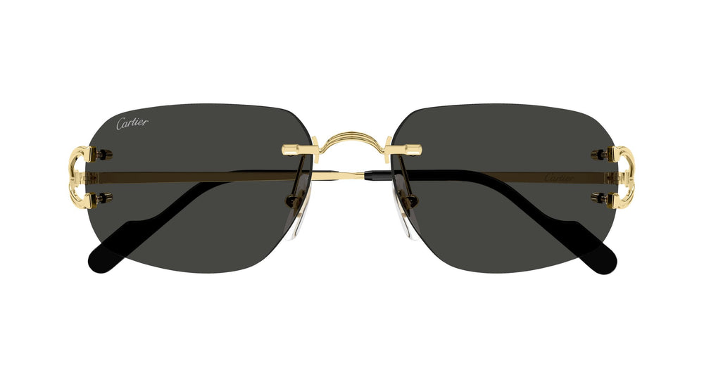Cartier CT0663S 001 58