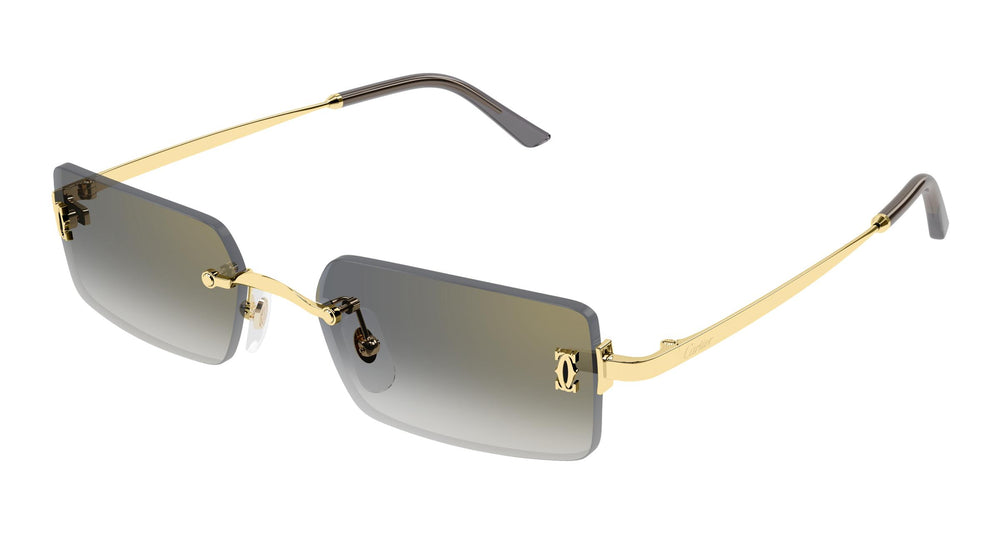 Cartier CT0672S 001 54
