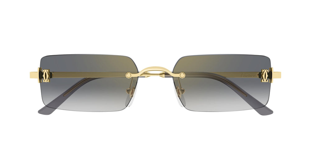 Cartier CT0672S 001 54