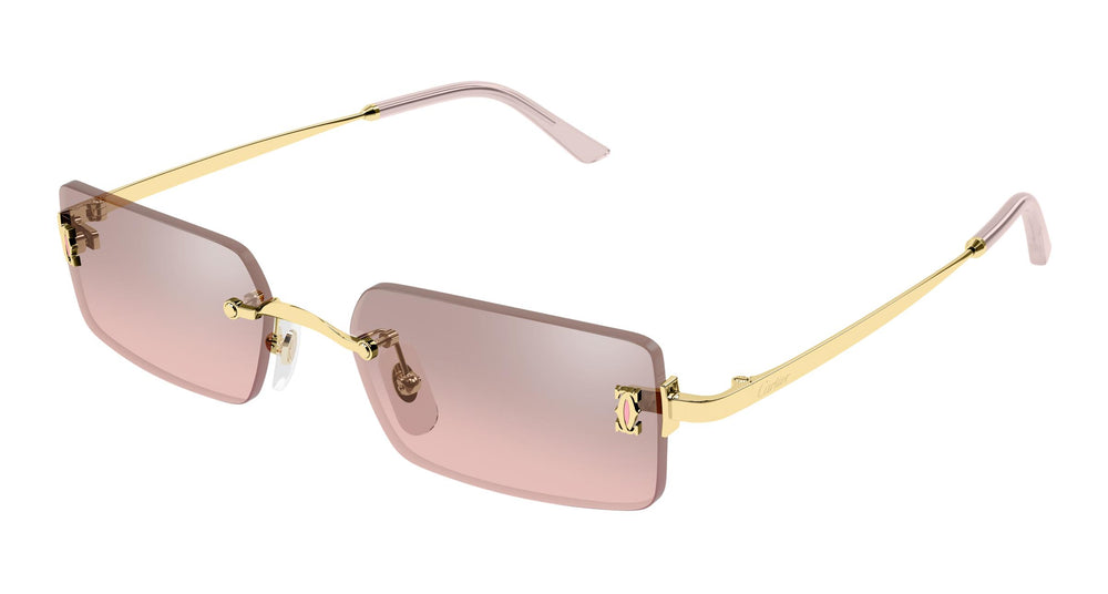 Cartier CT0672S 004 54