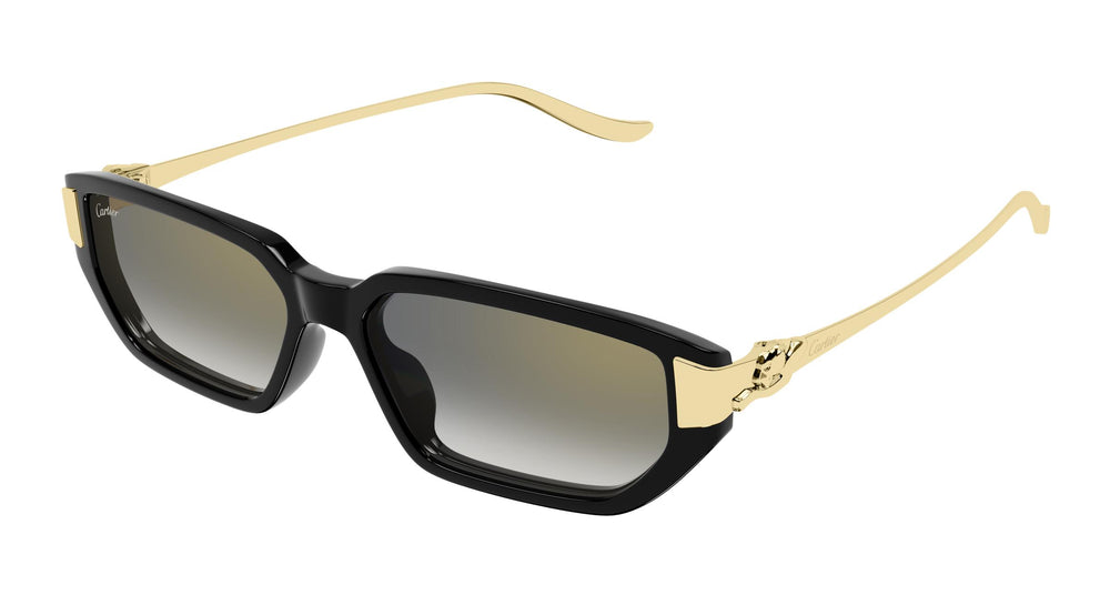 Cartier CT0674S 001 54