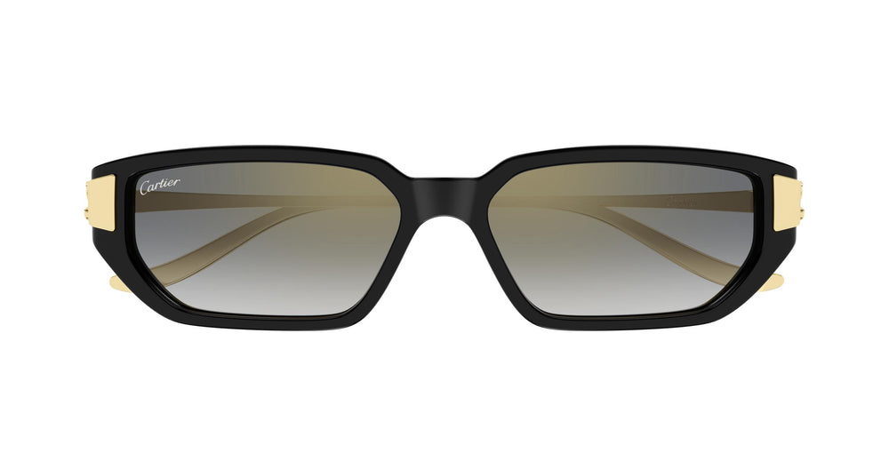 Cartier CT0674S 001 54