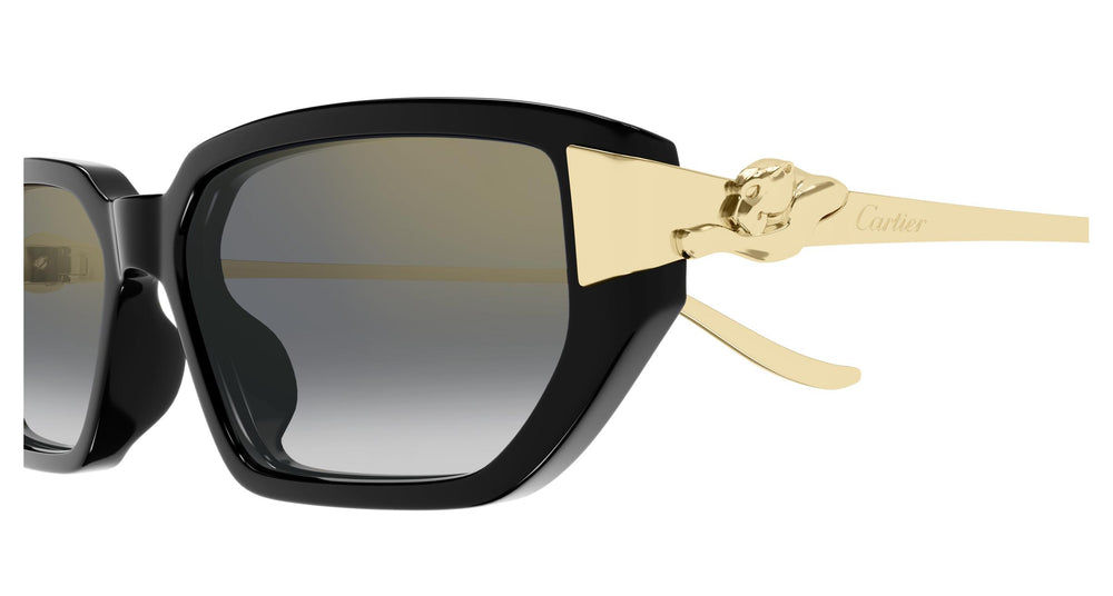 Cartier CT0674S 001 54