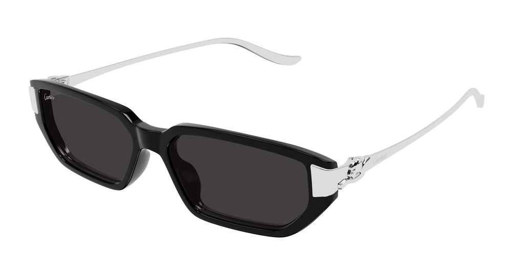 Cartier CT0674S 002 54