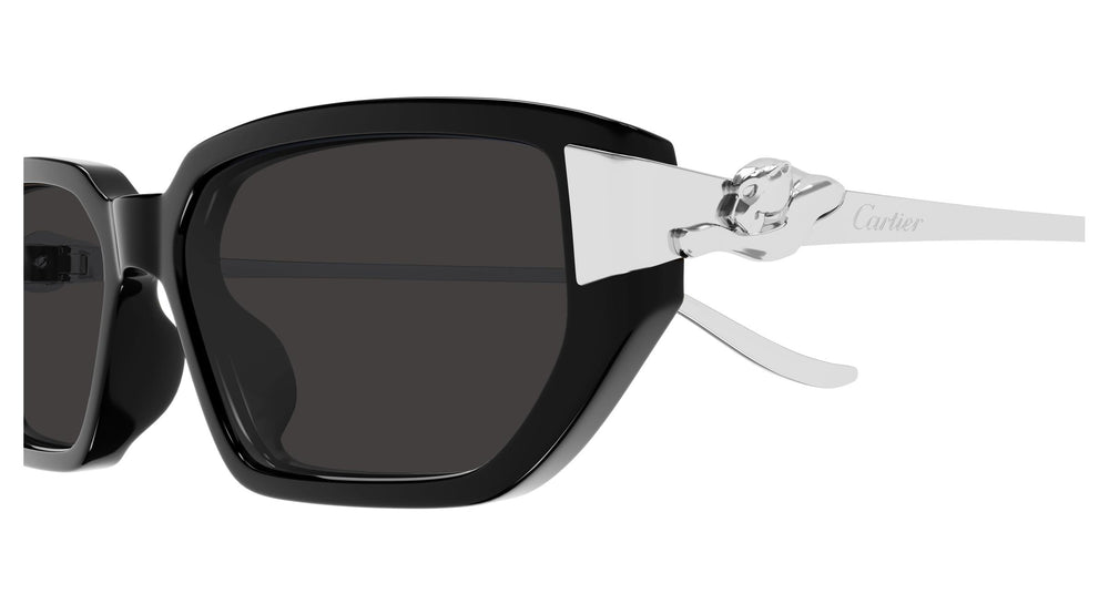 Cartier CT0674S 002 54