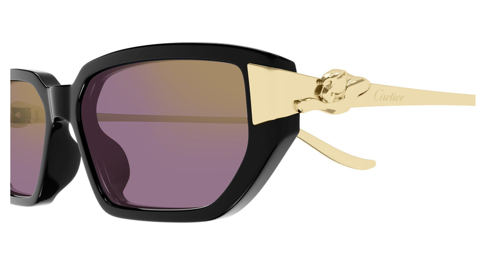 Cartier CT0674S 004 54
