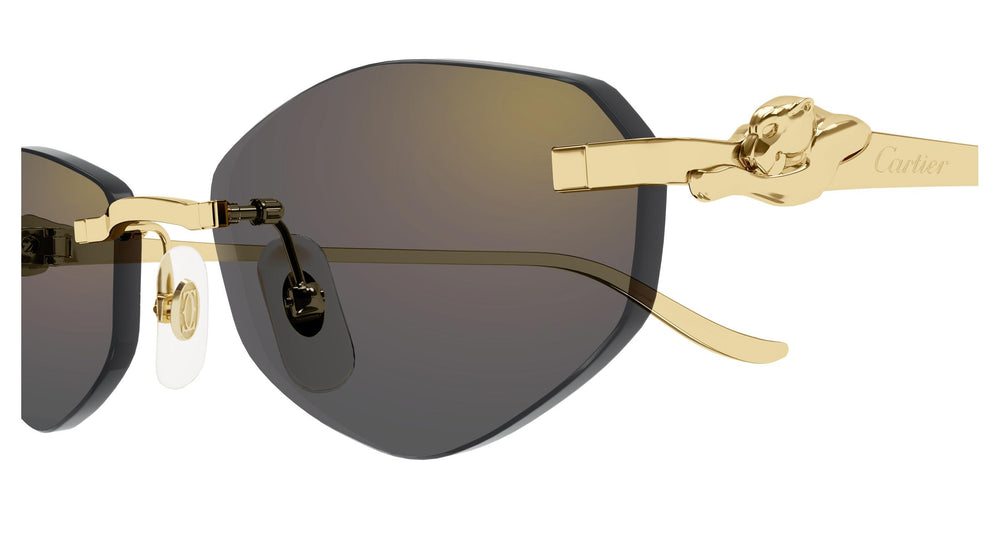 Cartier CT0675S 001 55