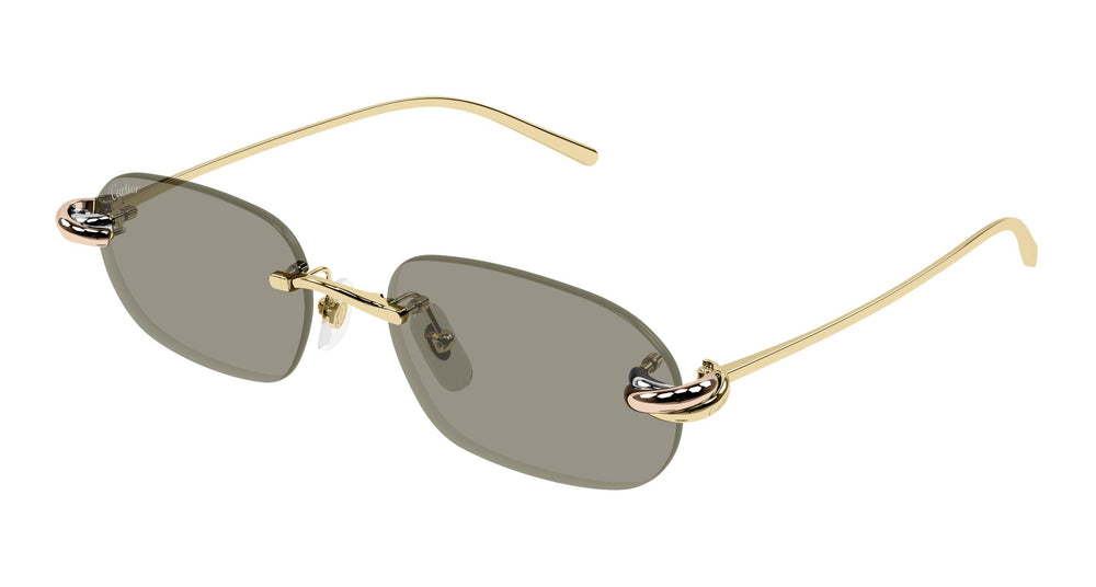 Cartier CT0686S 003 55