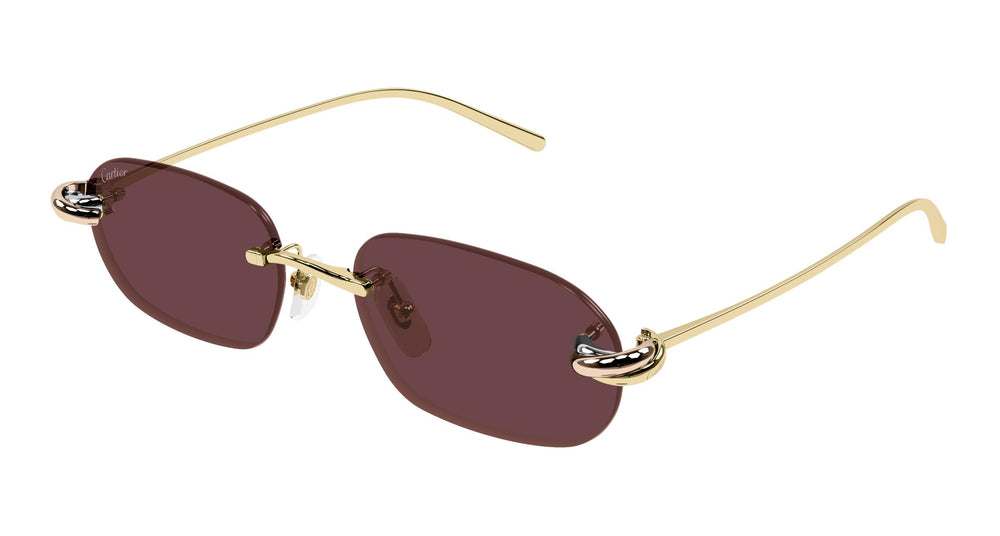 Cartier CT0686S 004 55