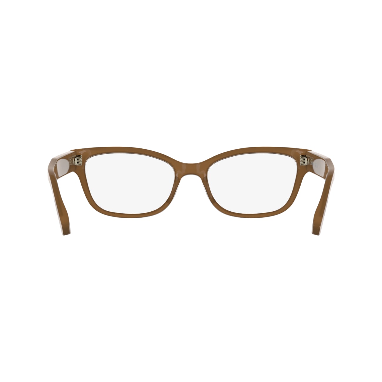 Calvin Klein CK25541 272 52