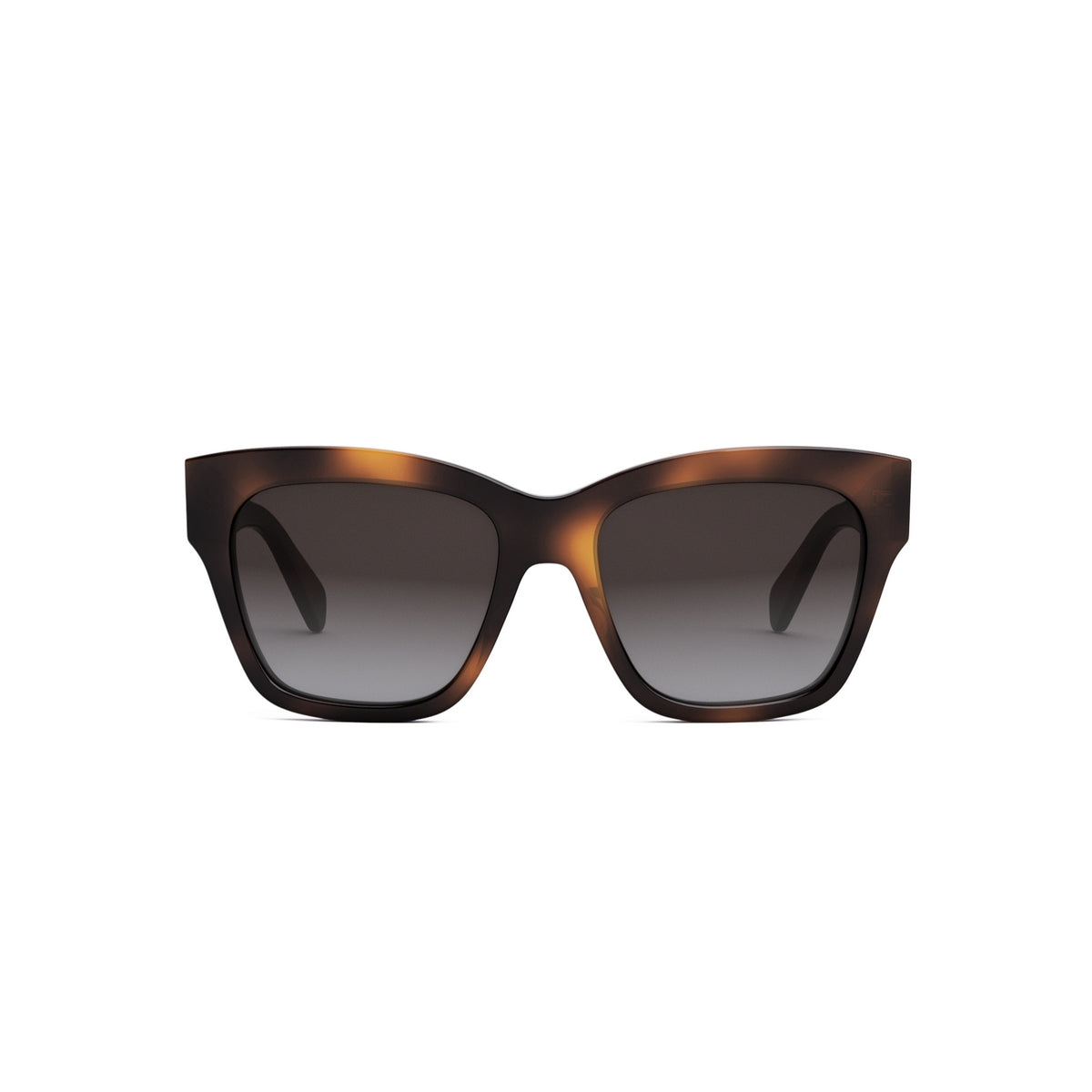 CELINE TRIOMPHE CL40253I 53K 55