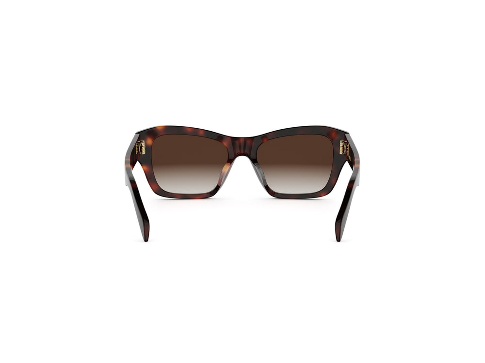 CELINE TRIOMPHE CL40330U 52F 54