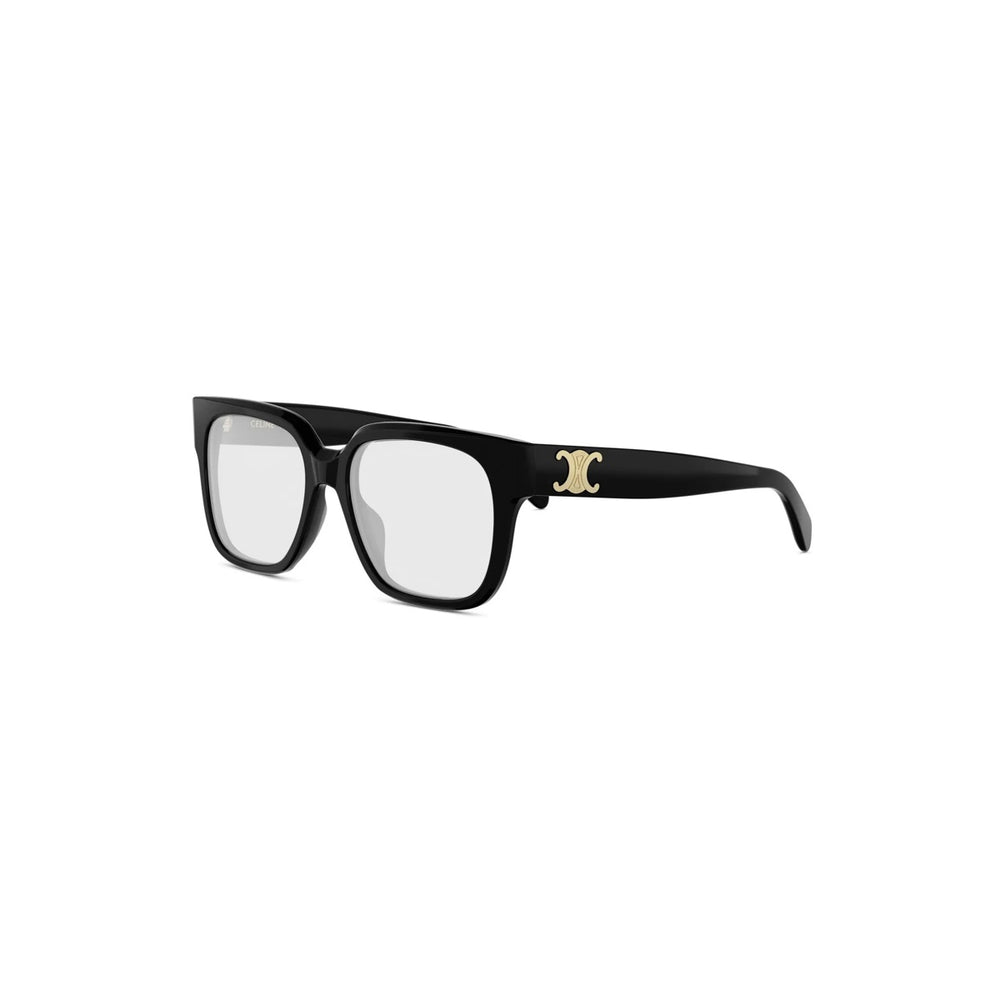 CELINE TRIOMPHE CL50172I 001 54