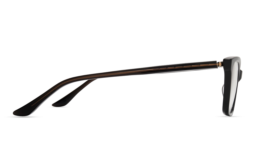DITA PERSPECT 01 53