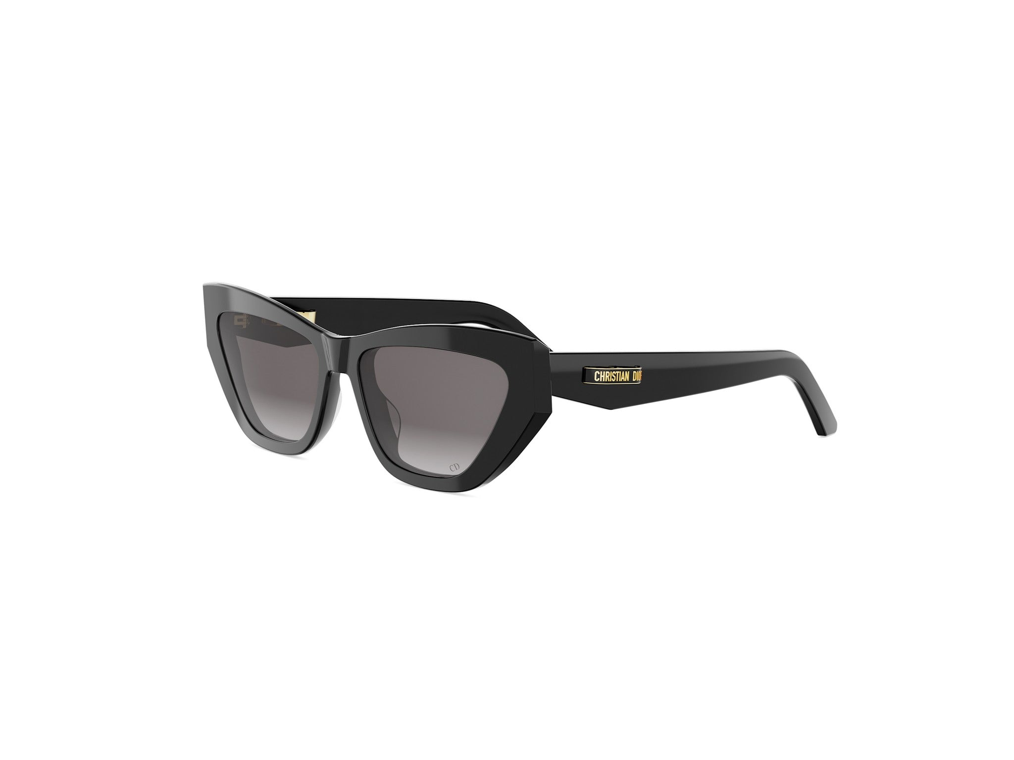 DIOR DIOR OBLIQUE S3I 10A0 DM40167I 01A 52 | Bassol Optic United