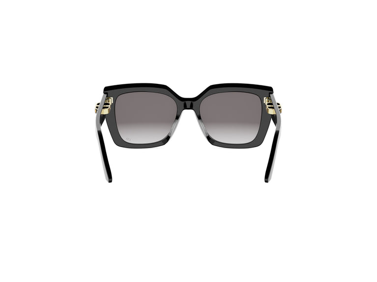 DIOR CDIOR CD40230I 01B 55