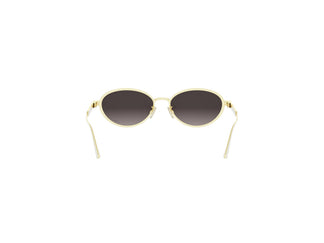 DIOR CANNAGE CD40209U 10B 53