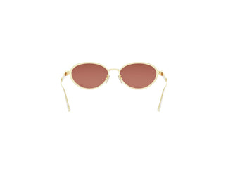 DIOR CANNAGE CD40209U 10U 53