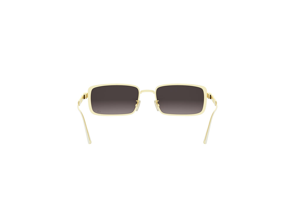 DIOR CANNAGE CD40210U 10B 55