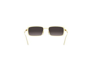 DIOR CANNAGE CD40210U 10B 55