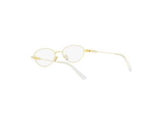 DIOR CANNAGEO CD50132U 010 51