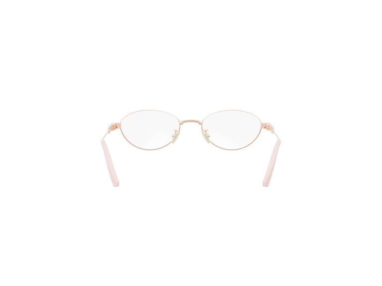 DIOR CANNAGEO CD50132U 029 51