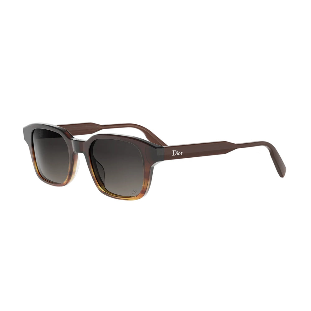 DIOR DIORIBBON DM40190I 56B 48